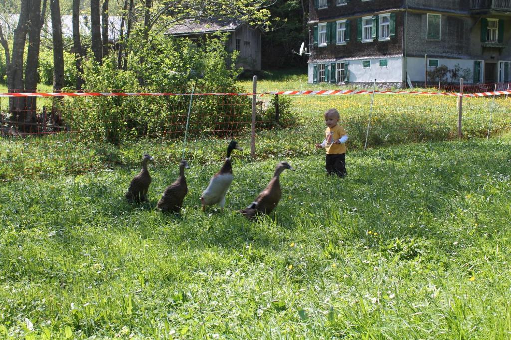 Ferienwohnungen Sutter Au (Vorarlberg) Εξωτερικό φωτογραφία