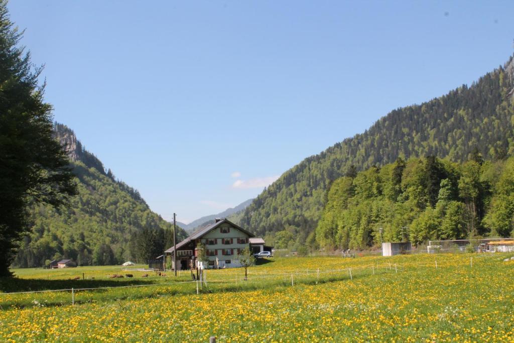 Ferienwohnungen Sutter Au (Vorarlberg) Εξωτερικό φωτογραφία